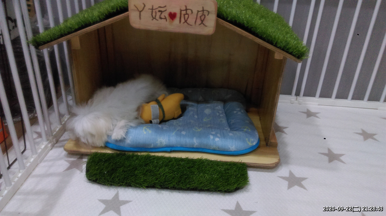 //sunnyriver.3wa.tw/photo/small.php?w_size=1280&compassion=95&file_name=users/shadow/1600783921_2.jpg&noshow=1&height=400