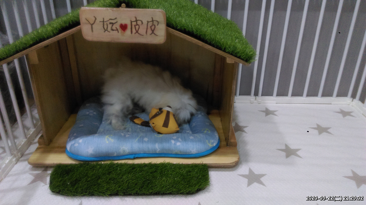 //sunnyriver.3wa.tw/photo/small.php?w_size=1280&compassion=95&file_name=users/shadow/1600783923_4.jpg&noshow=1&height=400