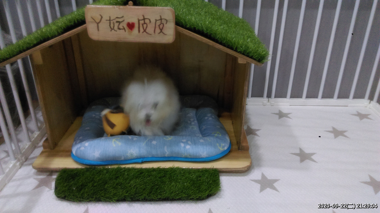 //sunnyriver.3wa.tw/photo/small.php?w_size=1280&compassion=95&file_name=users/shadow/1600783923_5.jpg&noshow=1&height=400