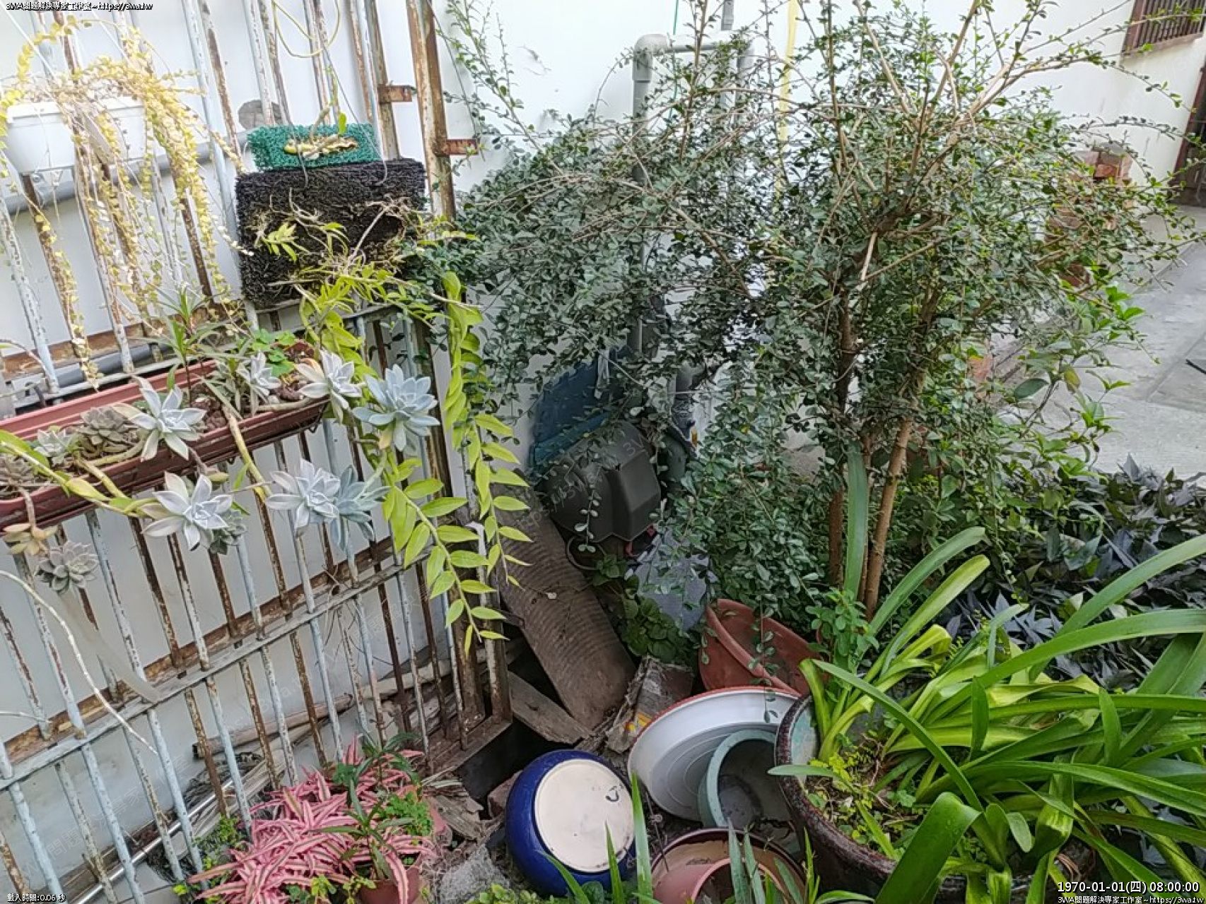 //sunnyriver.3wa.tw/photo/small.php?w_size=1280&compassion=95&file_name=users/shadow/1674296618.jpg&rotate=90