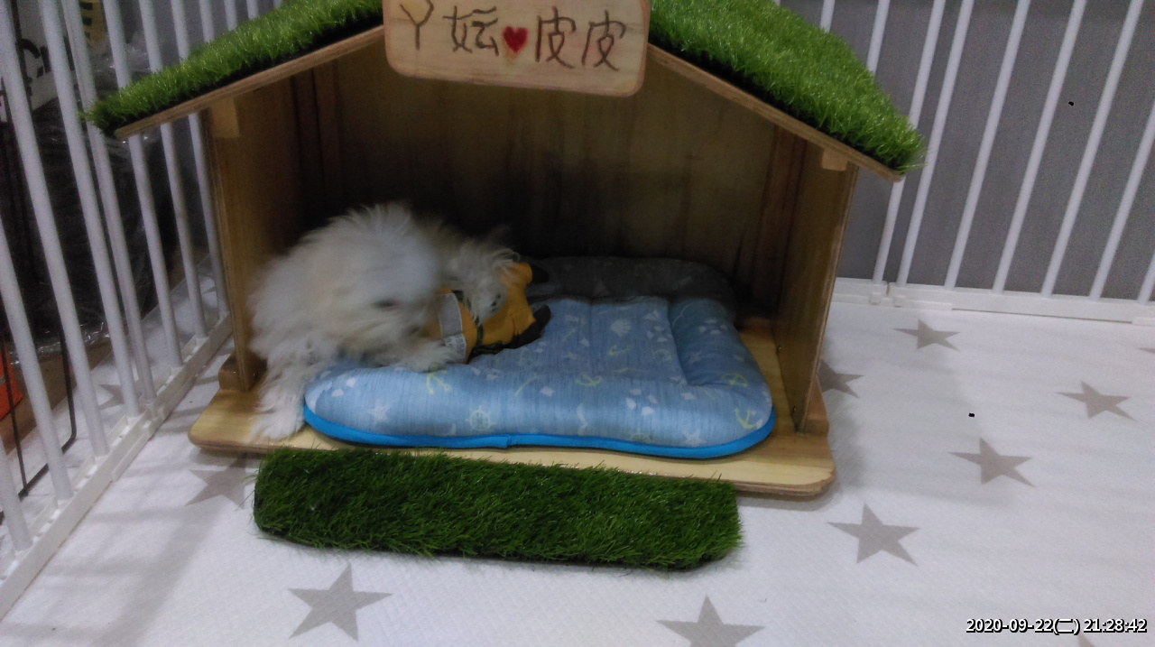 //sunnyriver.3wa.tw/photo/small.php?w_size=1280&compassion=95&file_name=users/shadow/1600783919_1.jpg&noshow=1&height=400